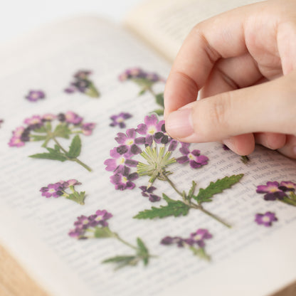 Verbena Pressed Flower Stickers
