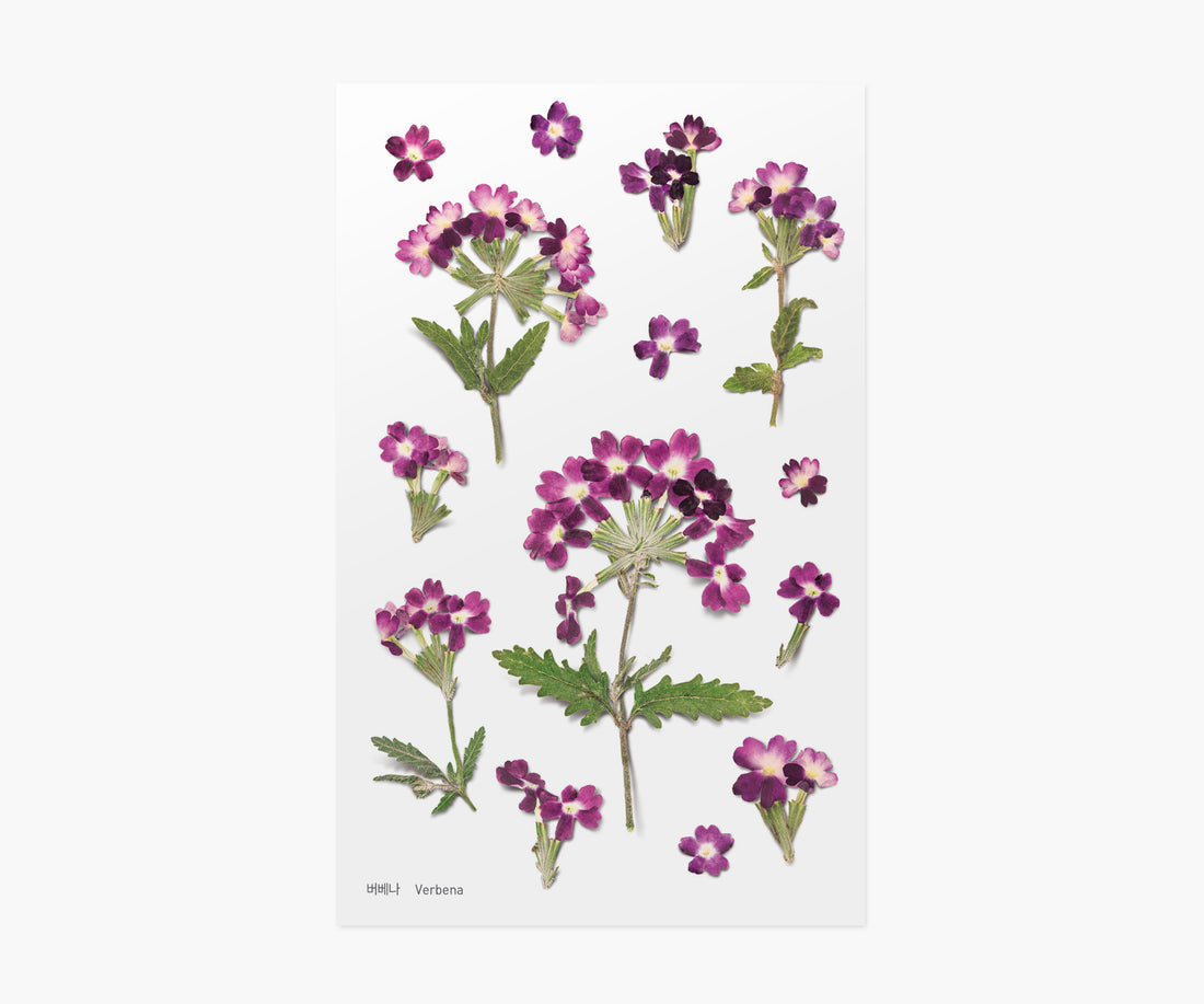 Verbena Pressed Flower Stickers