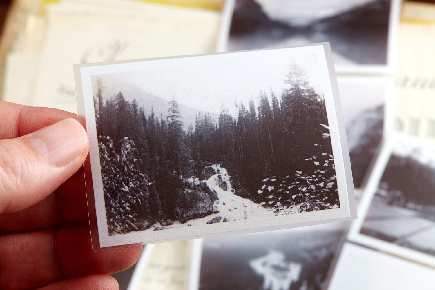 The Mountains PET tape