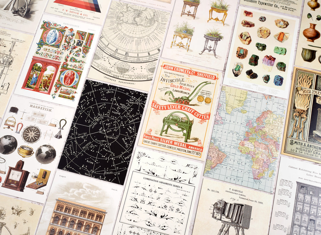 The Collector's Cabinet Postcard Set