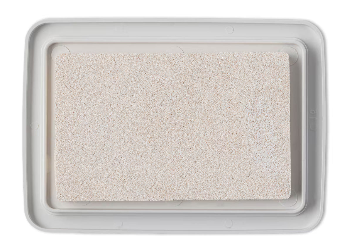 Glacier White ink pad sponge inside a light gray plastic tray, shown from a top-down view on a white background.