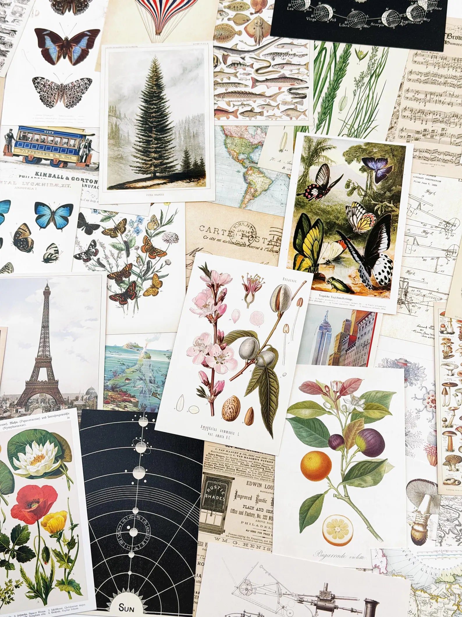 15 Assorted Postcards Sampler
