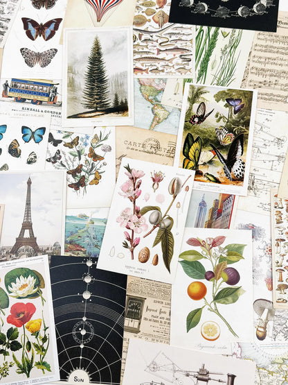 15 Assorted Postcards Sampler