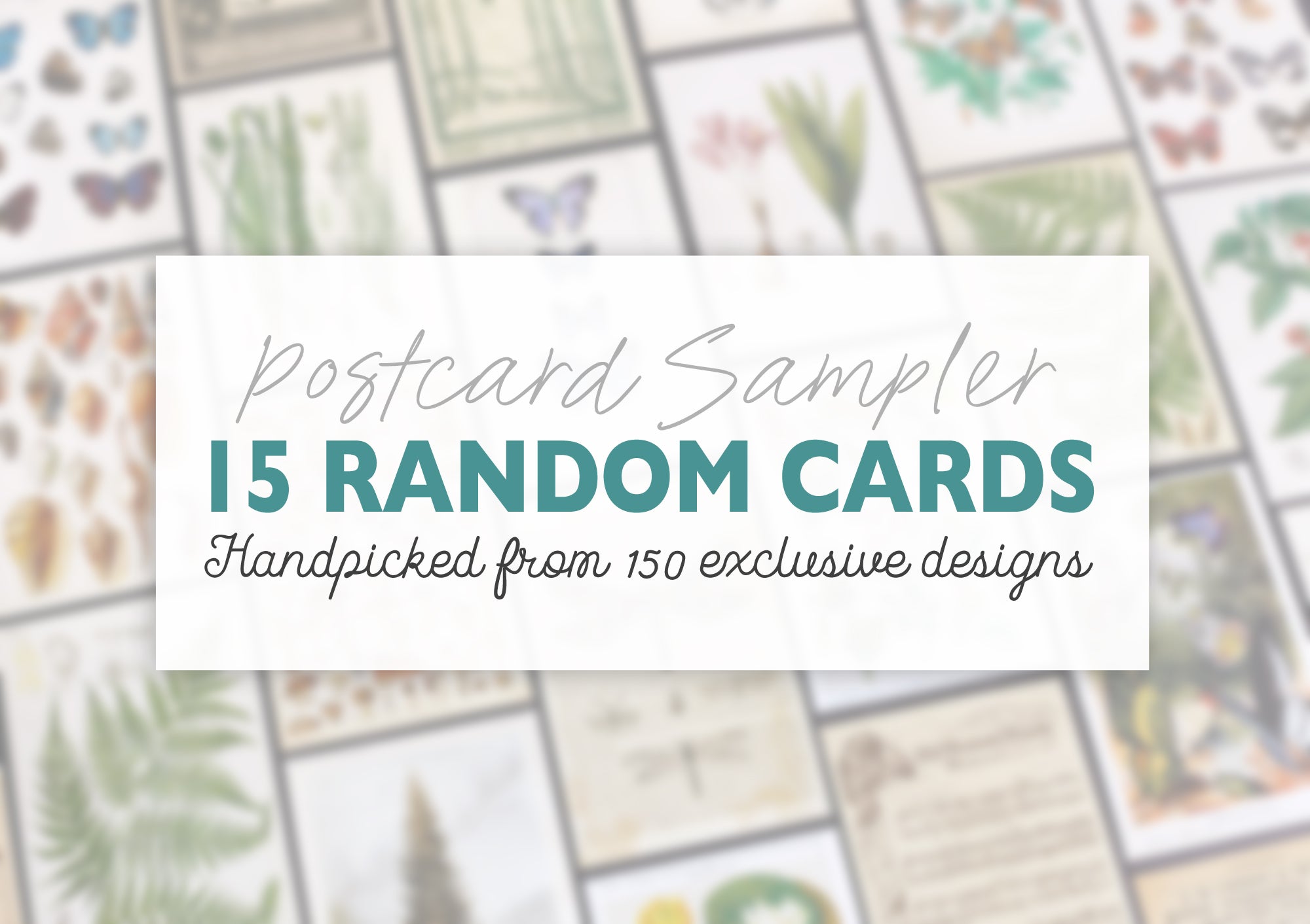 15 Assorted Postcards Sampler