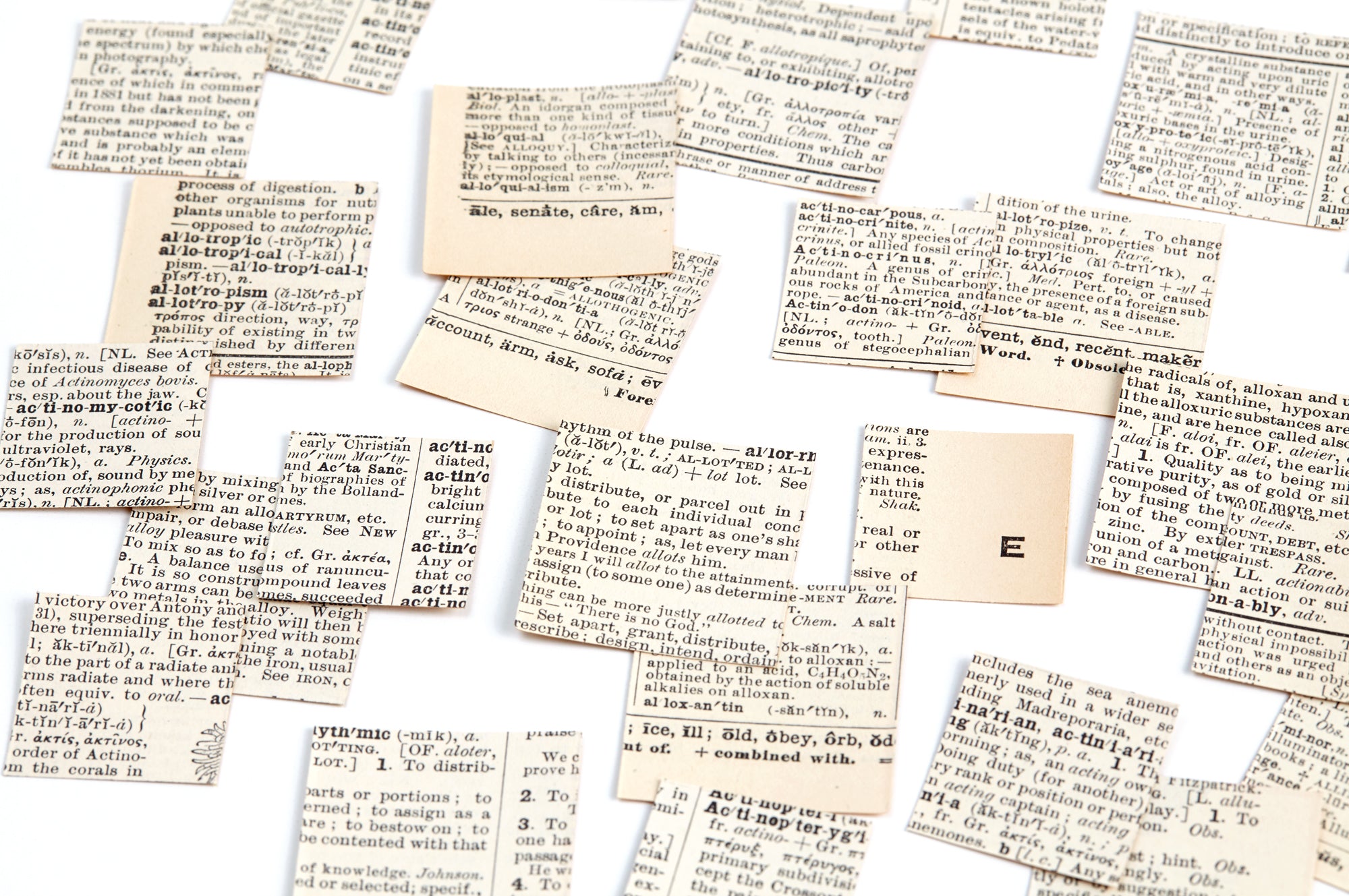 Square Die Cut Stickers