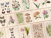 Botanical Washi Sticker Set