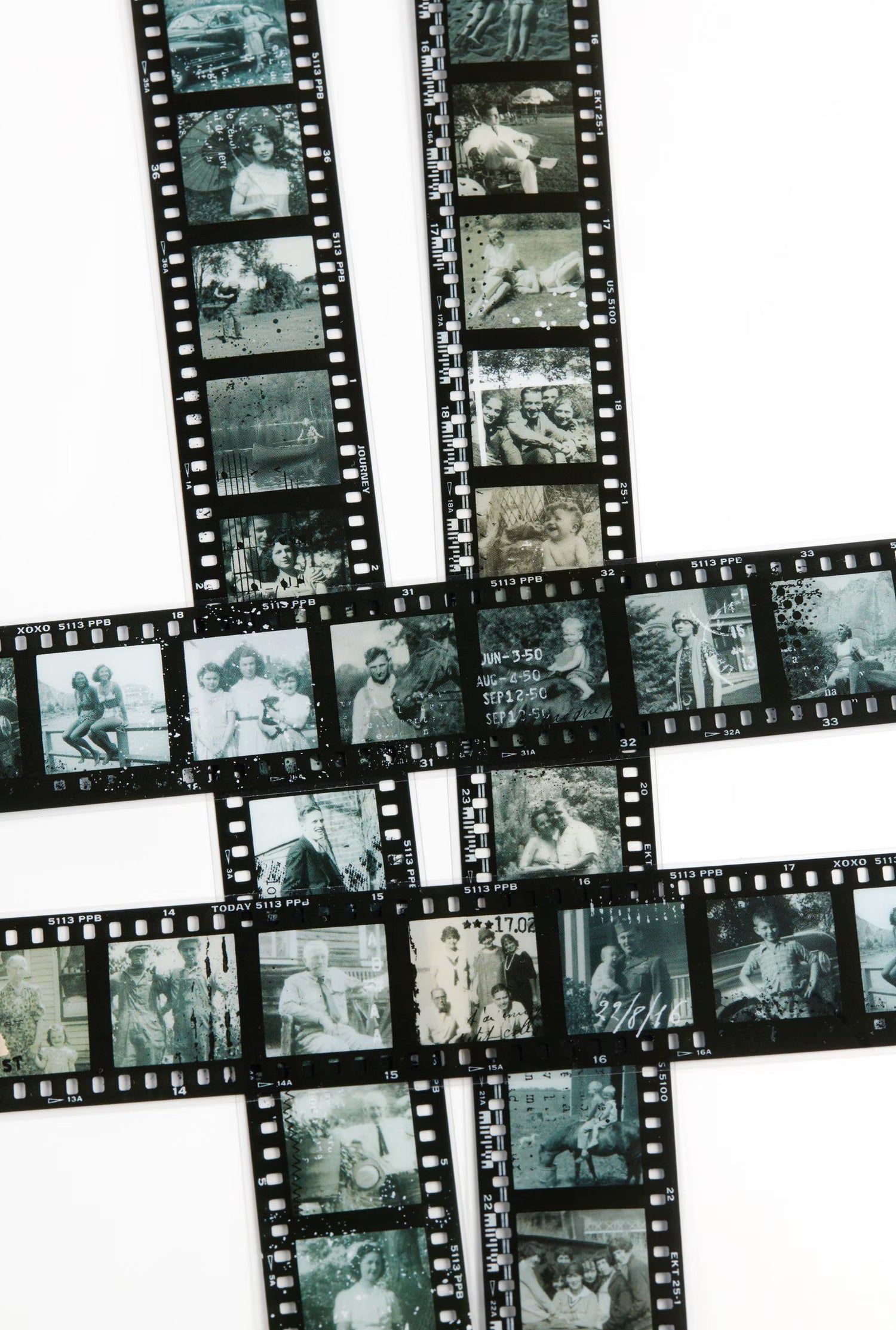 Whoopsie: Family Photos PET Tape