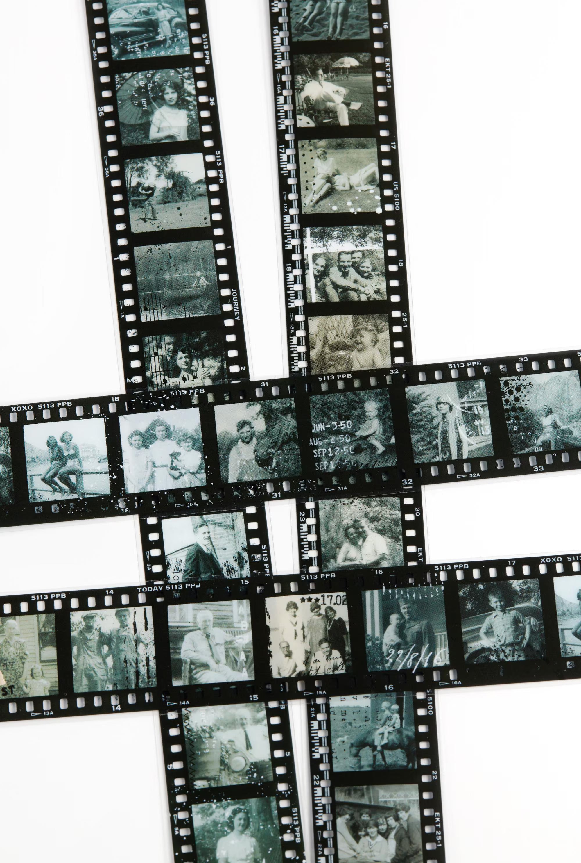 Whoopsie: Family Photos PET Tape