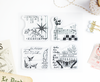 Evergreen stamp set with nature details