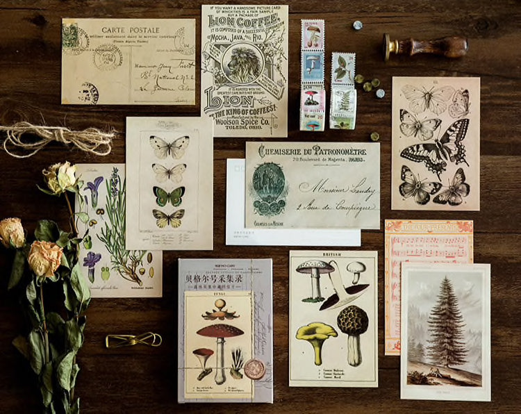 Vintage Nature Postcard Set